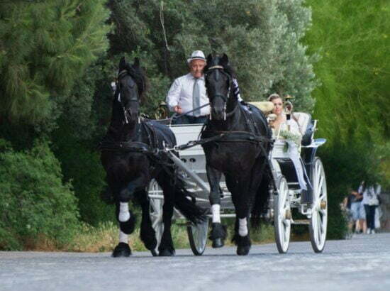 Gosdis Wedding Carriages 