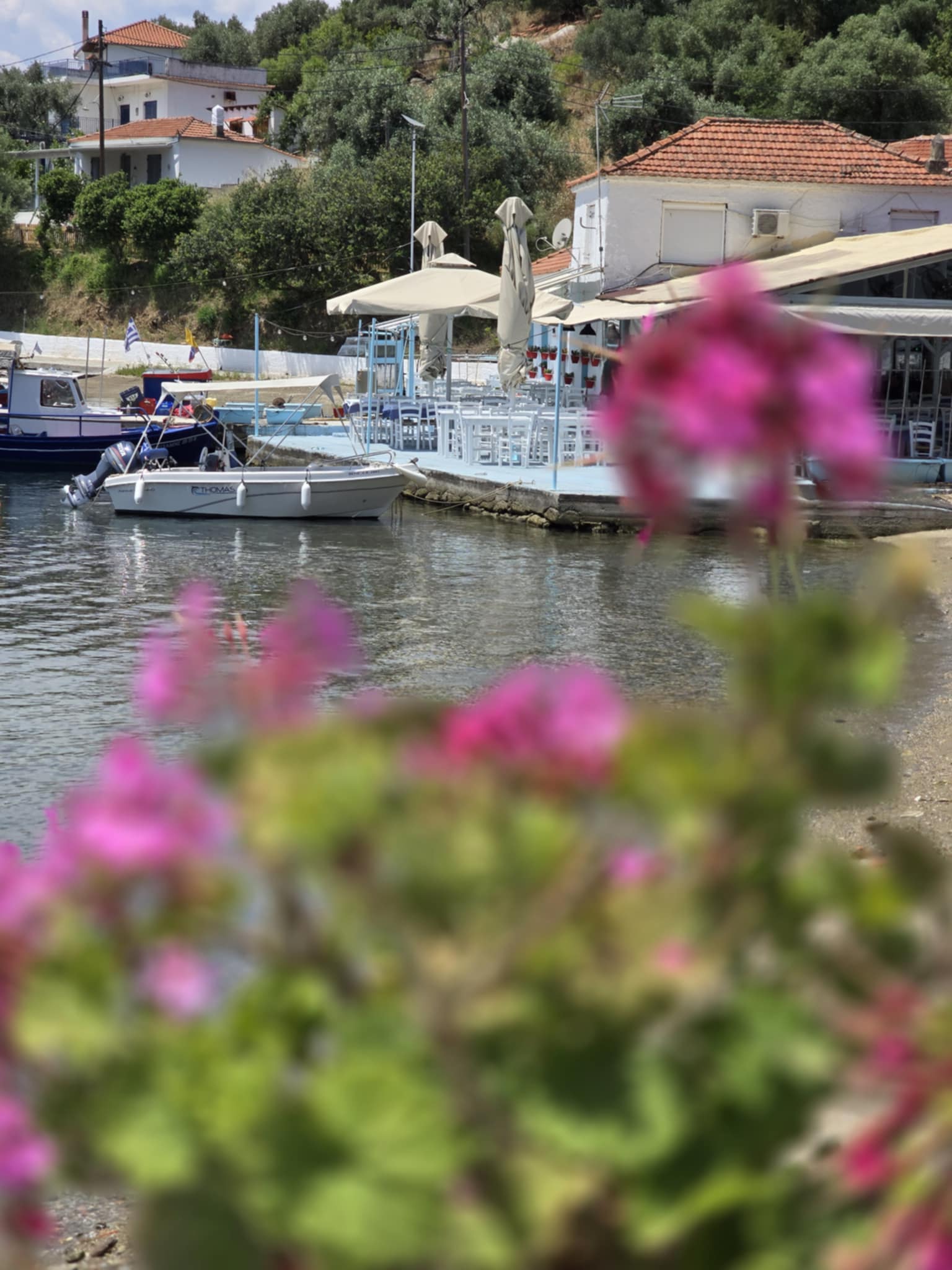 Dream Wedding in Southern Pelion 5 wedding in pelio southern pelion 16