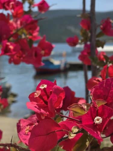 wedding in pelio southern pelion 48
