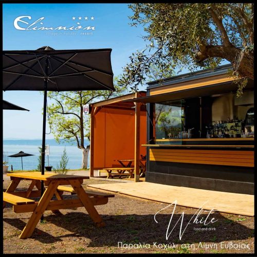 elimnionresort-wedding-venue-euboea-village-wedding-evia (119) elimnionresort-wedding-venue-euboea-village-wedding-evia (119)