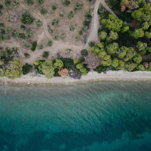 elimnionresort-wedding-venue-euboea-village-wedding-evia (99) elimnionresort-wedding-venue-euboea-village-wedding-evia (99)