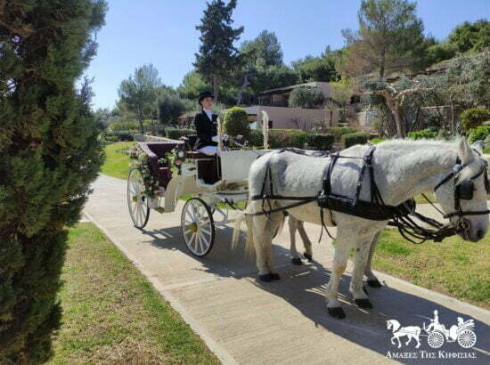 Kifisia Wedding Carriages 
