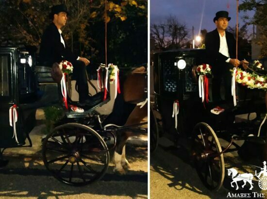Kifisia Wedding Carriages 